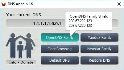 DNS Angel Zrzut ekranu 2