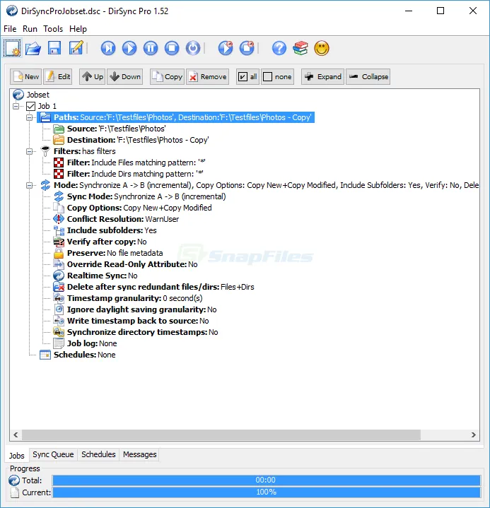 DirSync Pro Zrzut ekranu 1