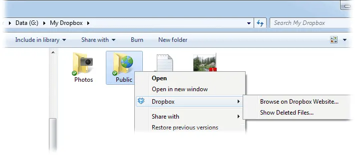 Dropbox Zrzut ekranu 1