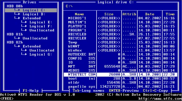 Active NTFS Reader for DOS Zrzut ekranu 1