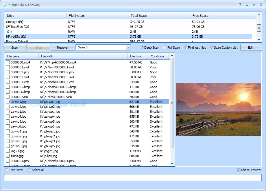 Puran File Recovery Zrzut ekranu 1